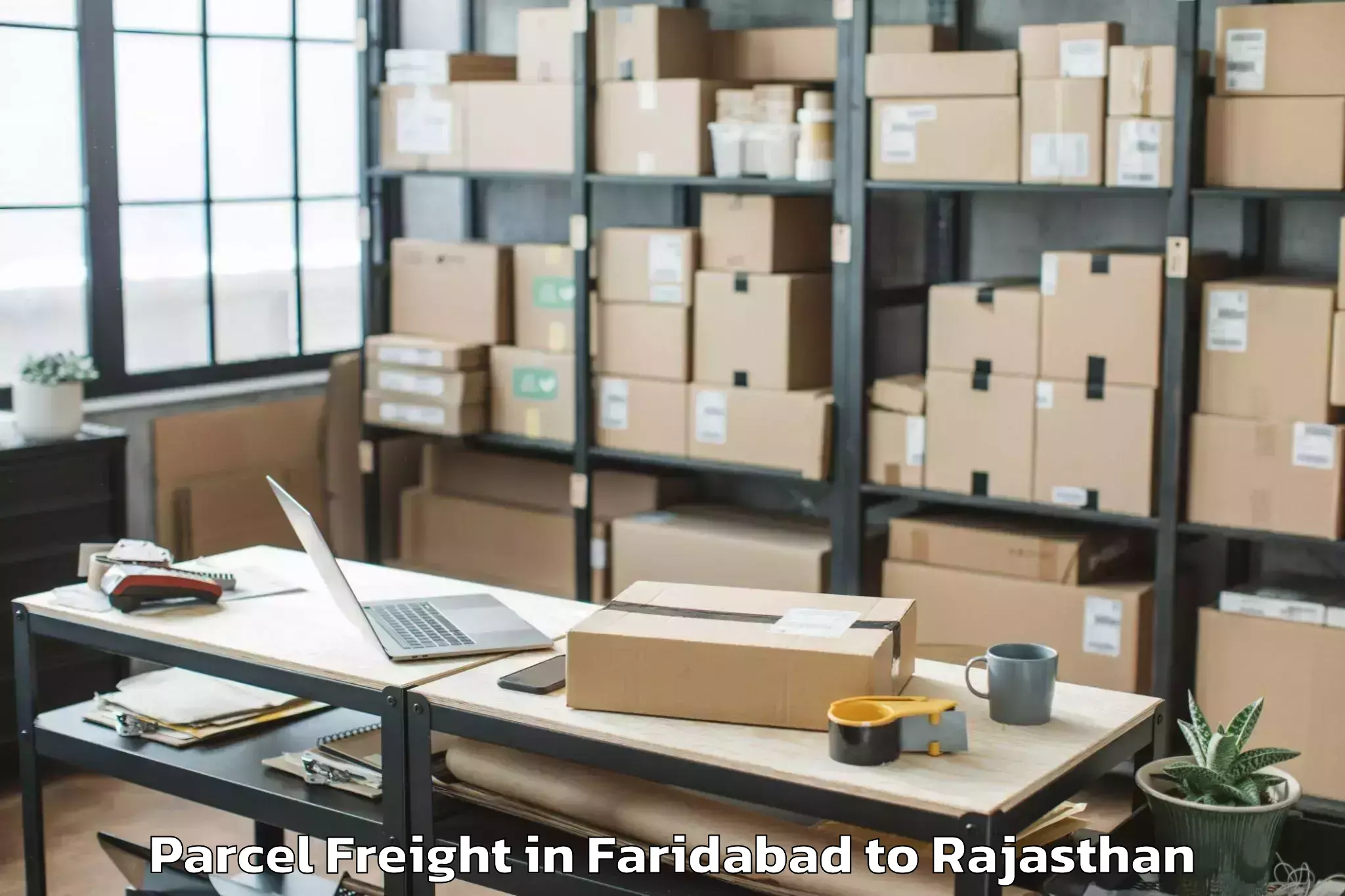 Easy Faridabad to Kankroli Parcel Freight Booking